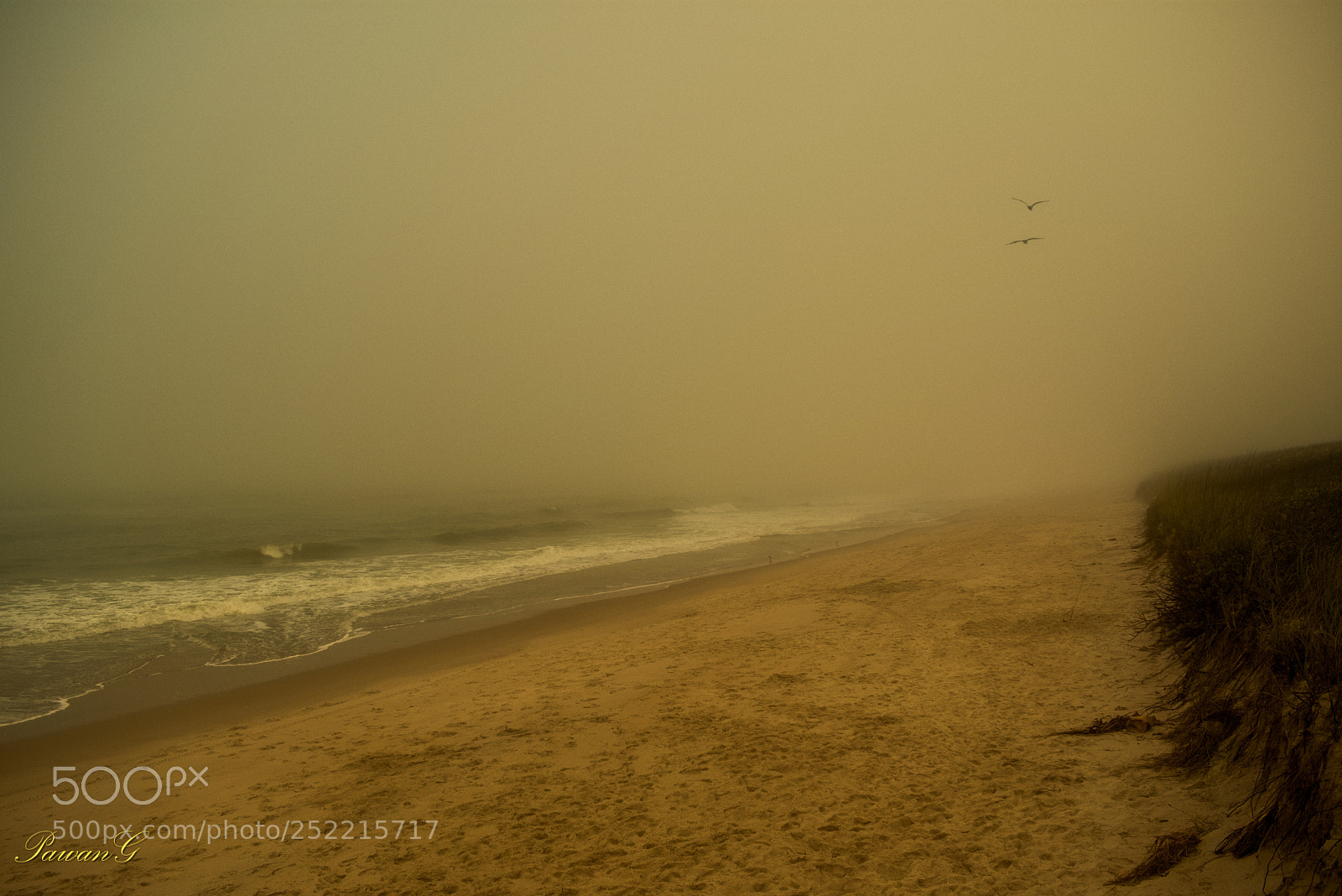 Nikon D3400 sample photo. Foggy beach in sunny photography