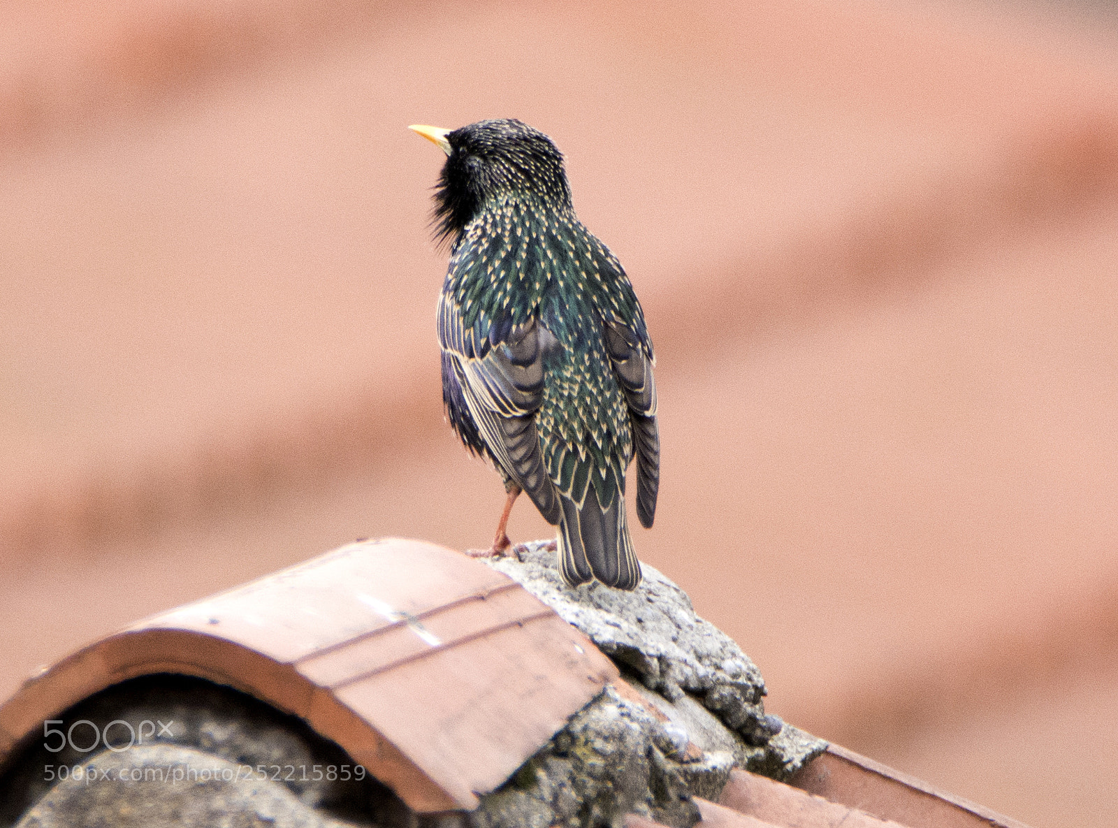 Nikon D7100 sample photo. How boring what a photography
