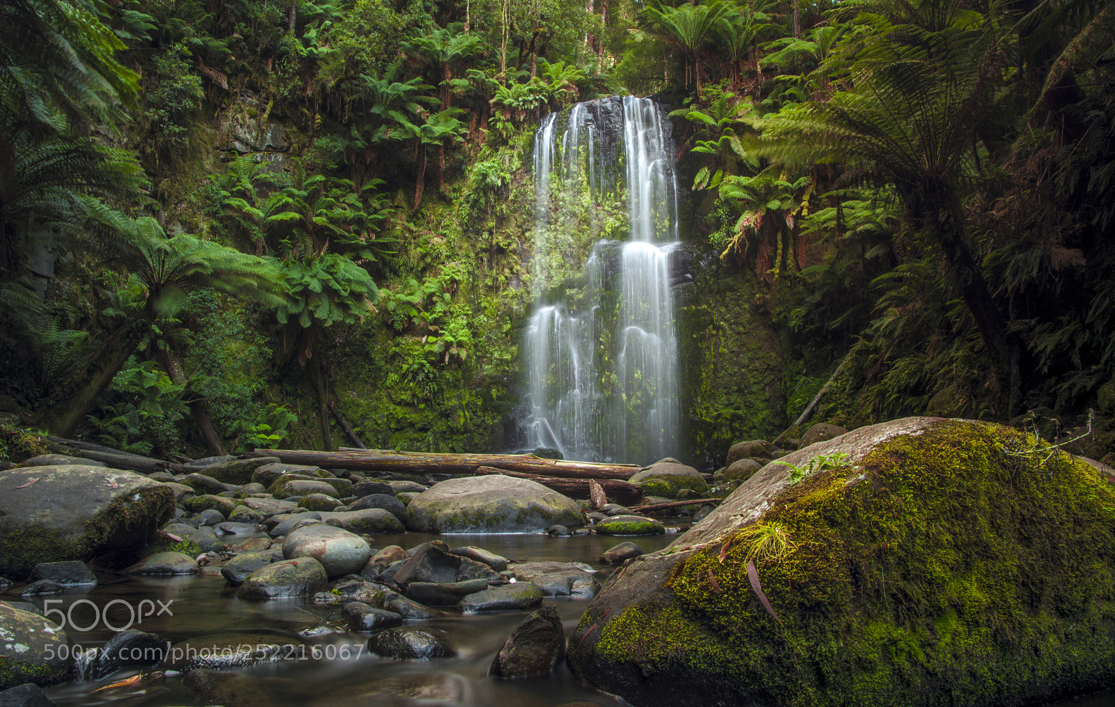 Nikon D7100 sample photo. Beauchamp falls gor photography