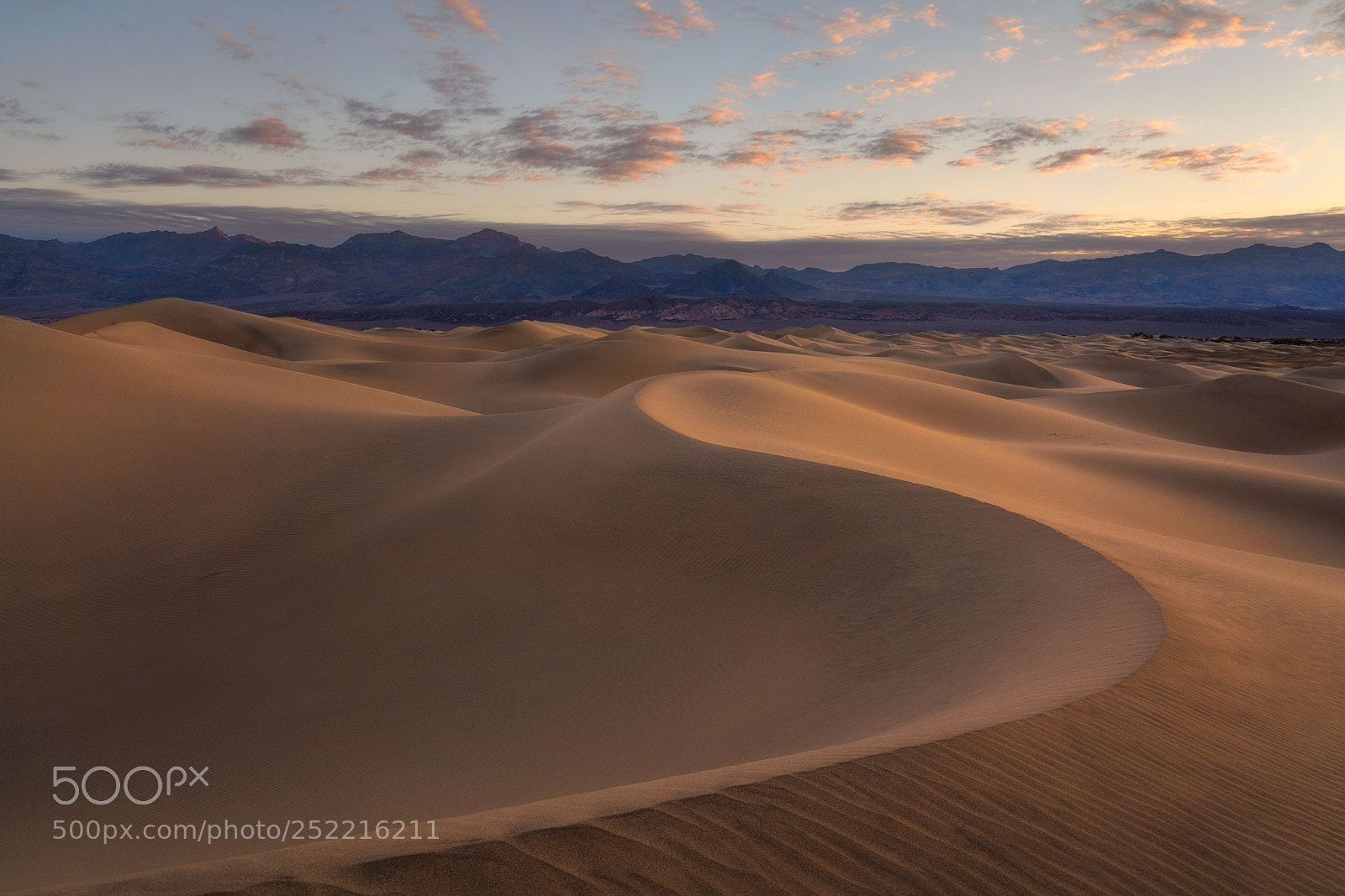 Sony a7R III sample photo. First light mesquite flat photography