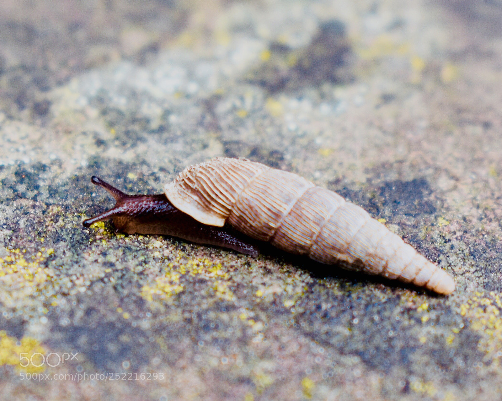 Nikon D3400 sample photo. Untitled photography