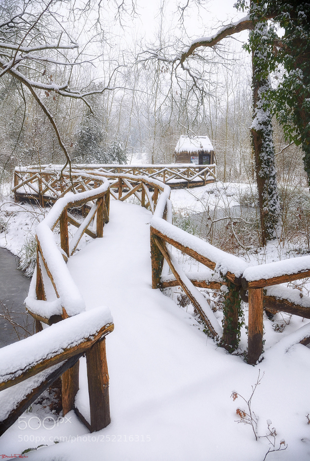 Nikon D5100 sample photo. Magia nel bosco, neve..... photography