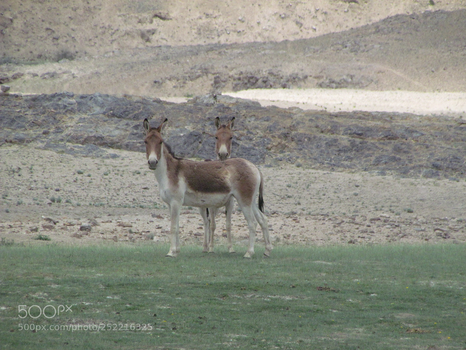 Canon PowerShot SX30 IS sample photo. Beautiful ladakh photography