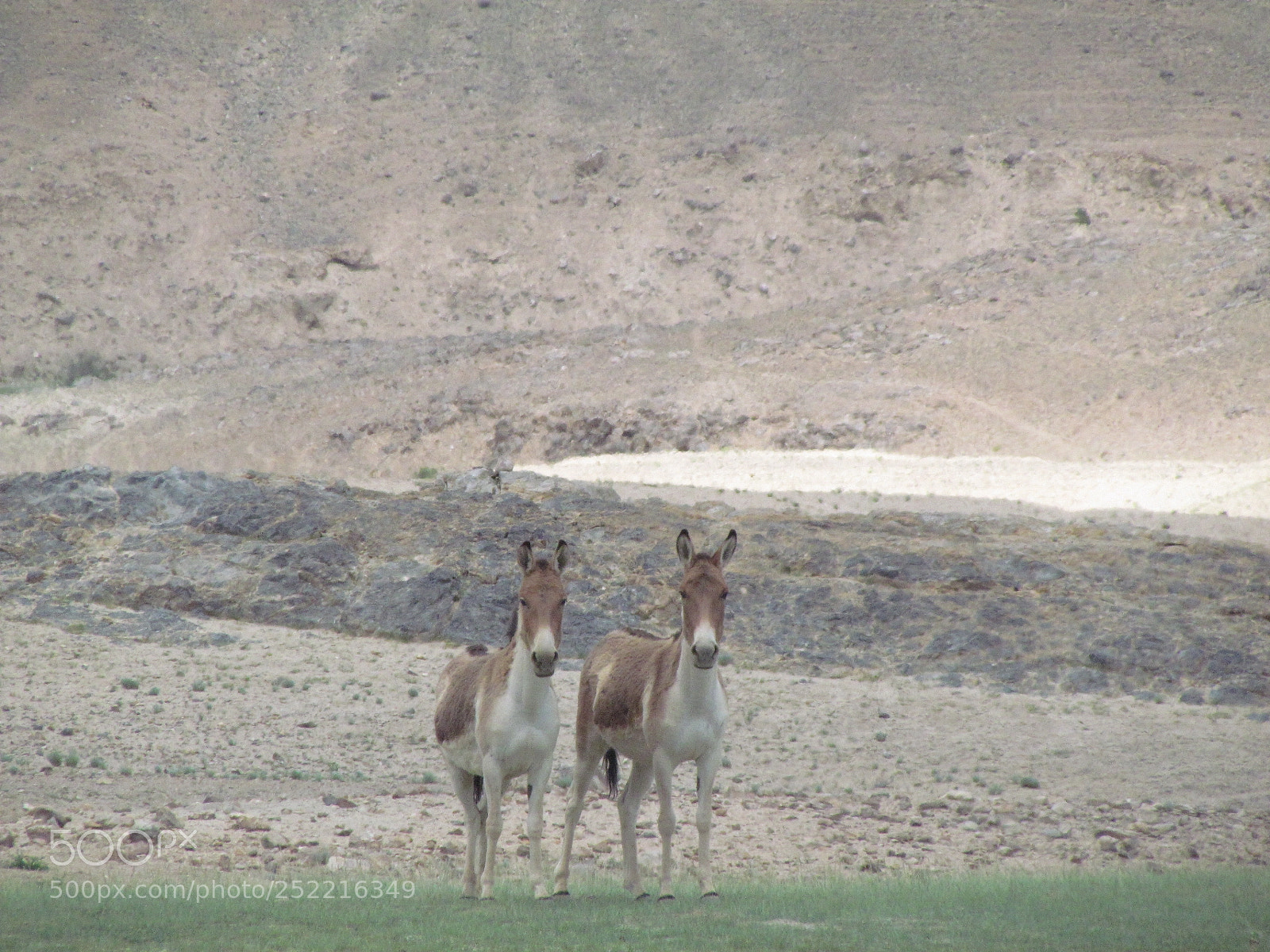 Canon PowerShot SX30 IS sample photo. Beautiful ladakh photography