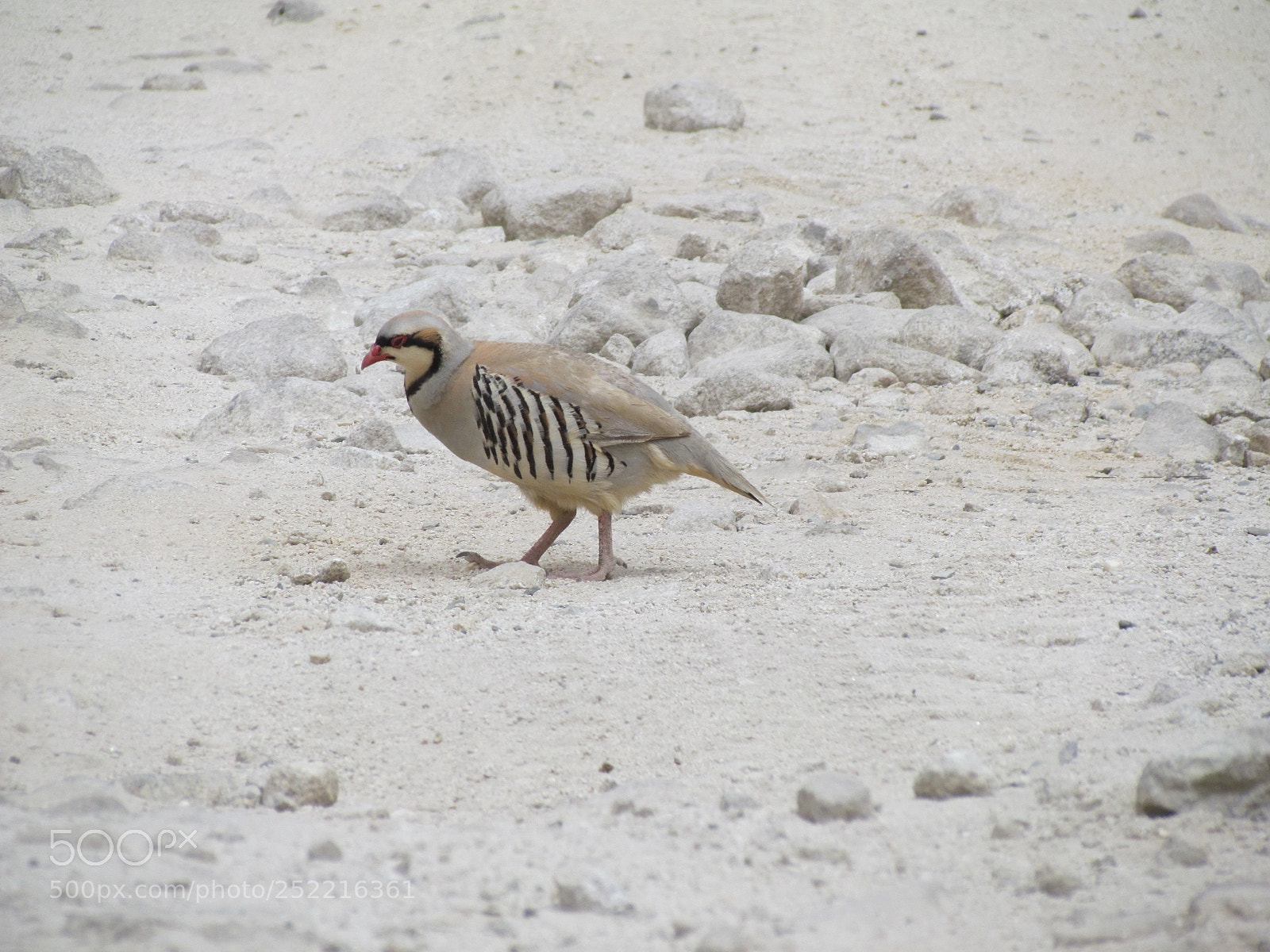 Canon PowerShot SX30 IS sample photo. Beautiful ladakh photography