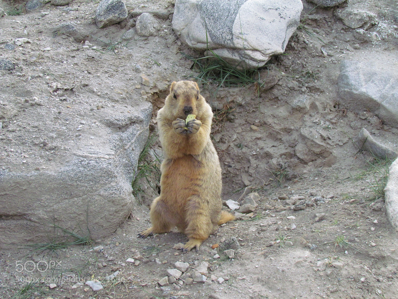 Canon PowerShot SX30 IS sample photo. Beautiful ladakh photography
