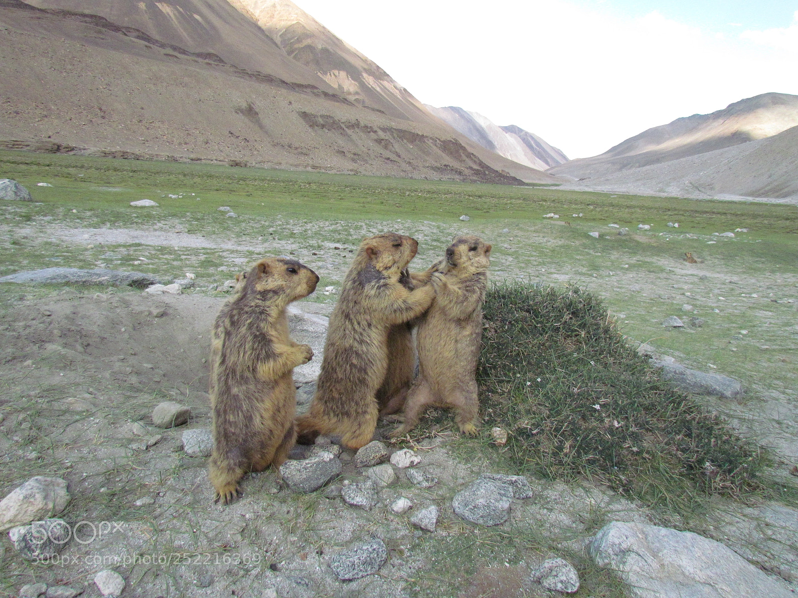 Canon PowerShot SX30 IS sample photo. Beautiful ladakh photography