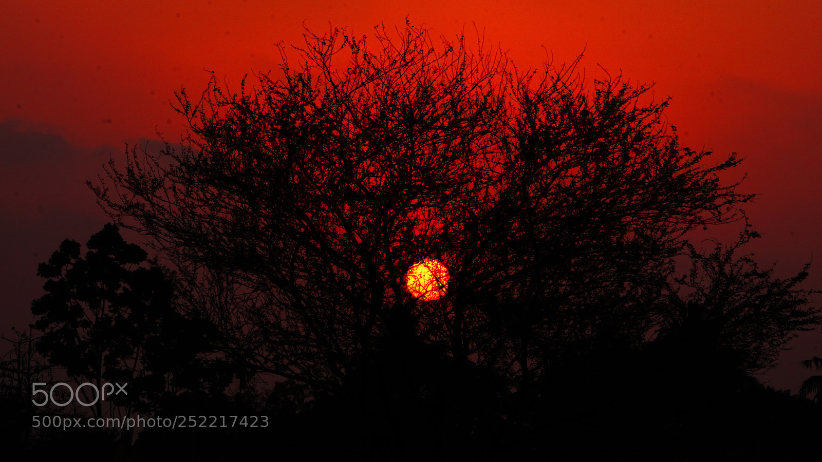 Sony a6000 sample photo. Red silhouette photography