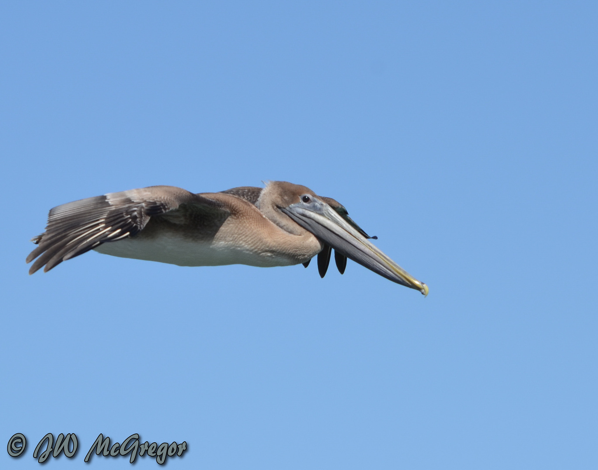 Nikon D5100 sample photo. Criusing photography