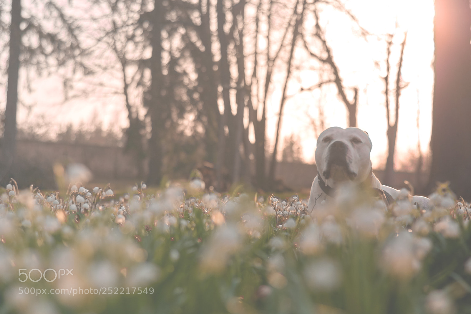 Nikon D7100 sample photo. Happy easter photography