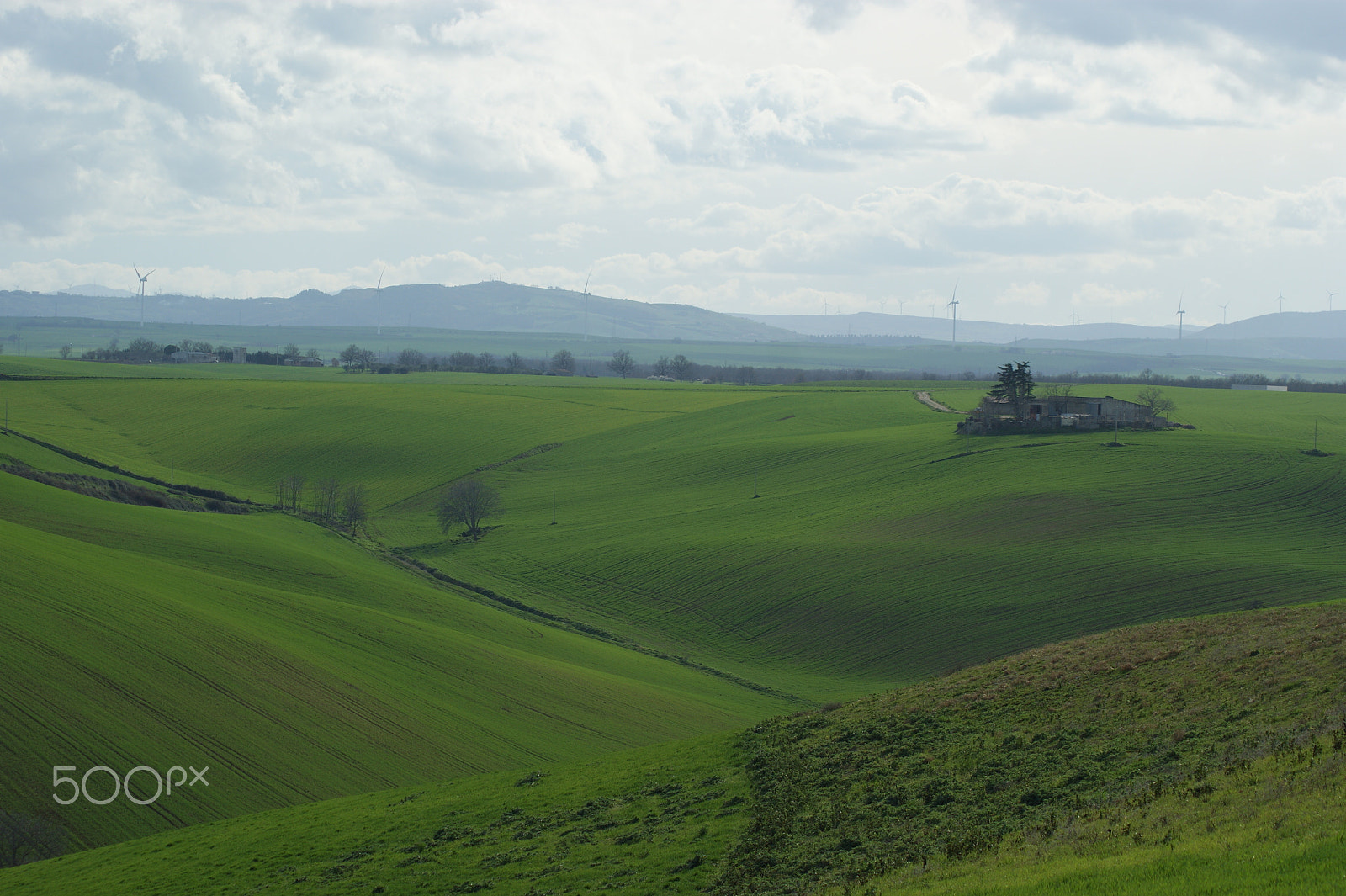 Sony Alpha DSLR-A290 sample photo. Panorama lucano photography