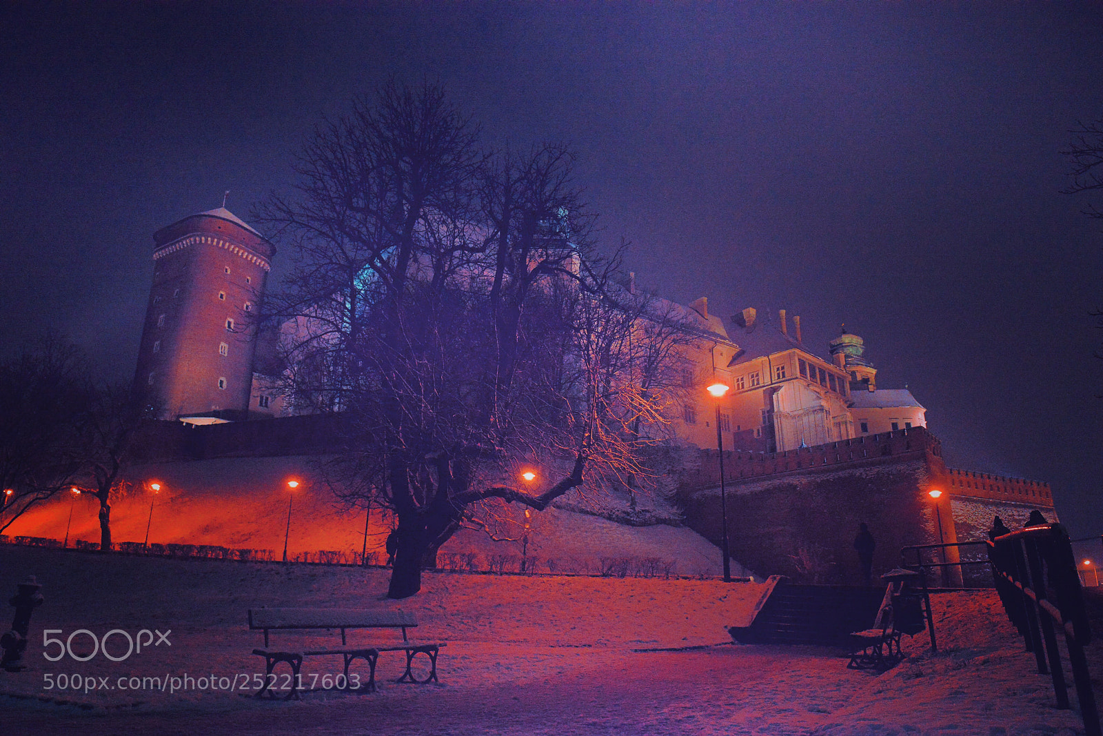 Nikon D800 sample photo. Wawel castle, krakow, poland  photography