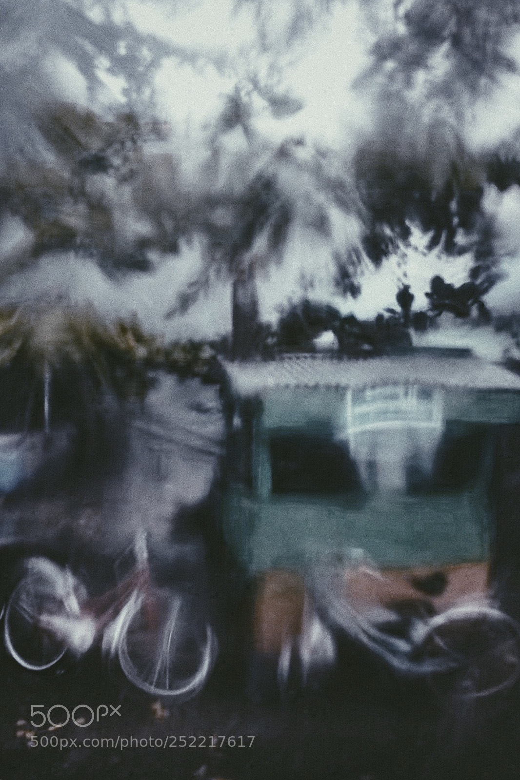 Apple iPhone 7 Plus sample photo. Untitled photography