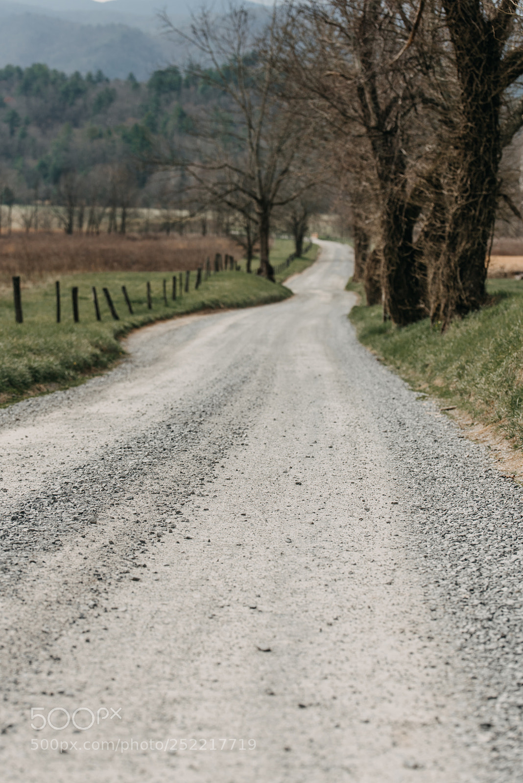 Nikon D750 sample photo. Cades cove united states photography