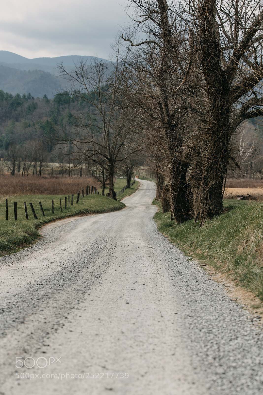 Nikon D750 sample photo. Cades cove united states photography