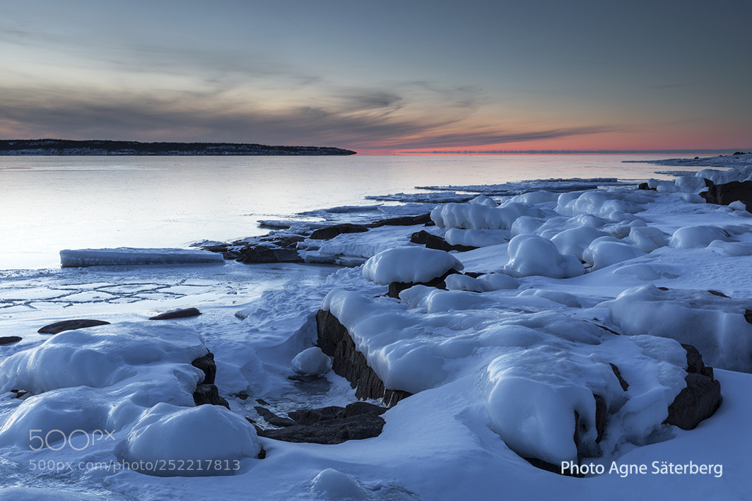 Canon EOS 5D Mark IV sample photo. A frozen coastline photography