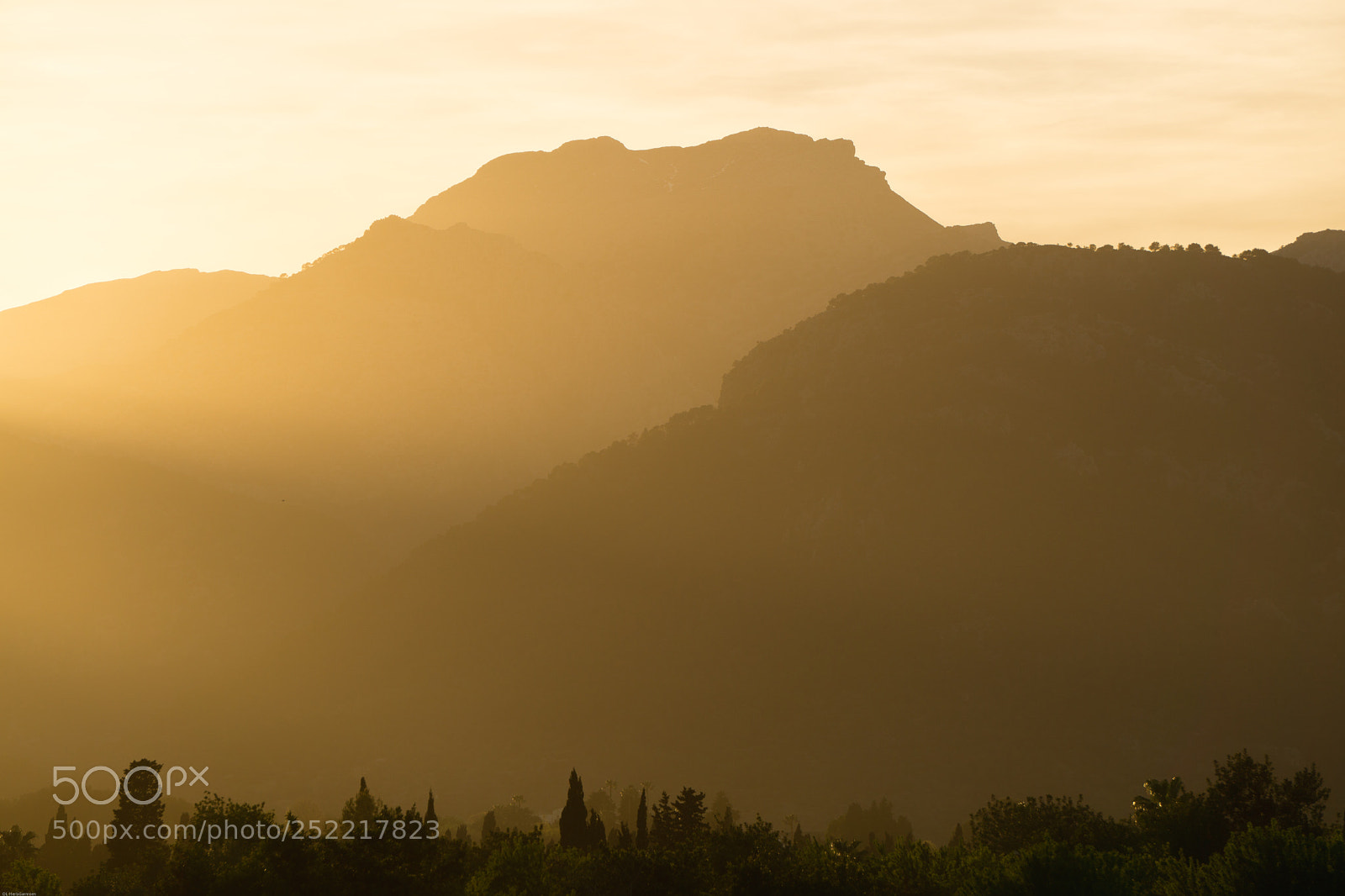 Sony a6000 sample photo. Massanella gold photography