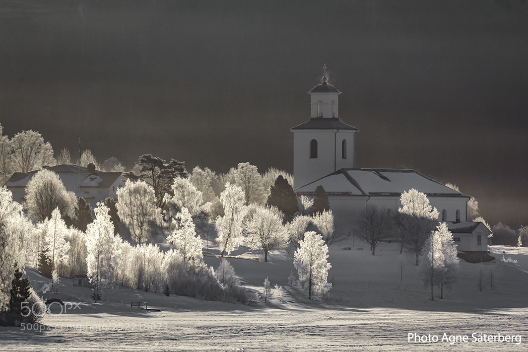 Canon EOS 60D sample photo. Early winter morning by photography