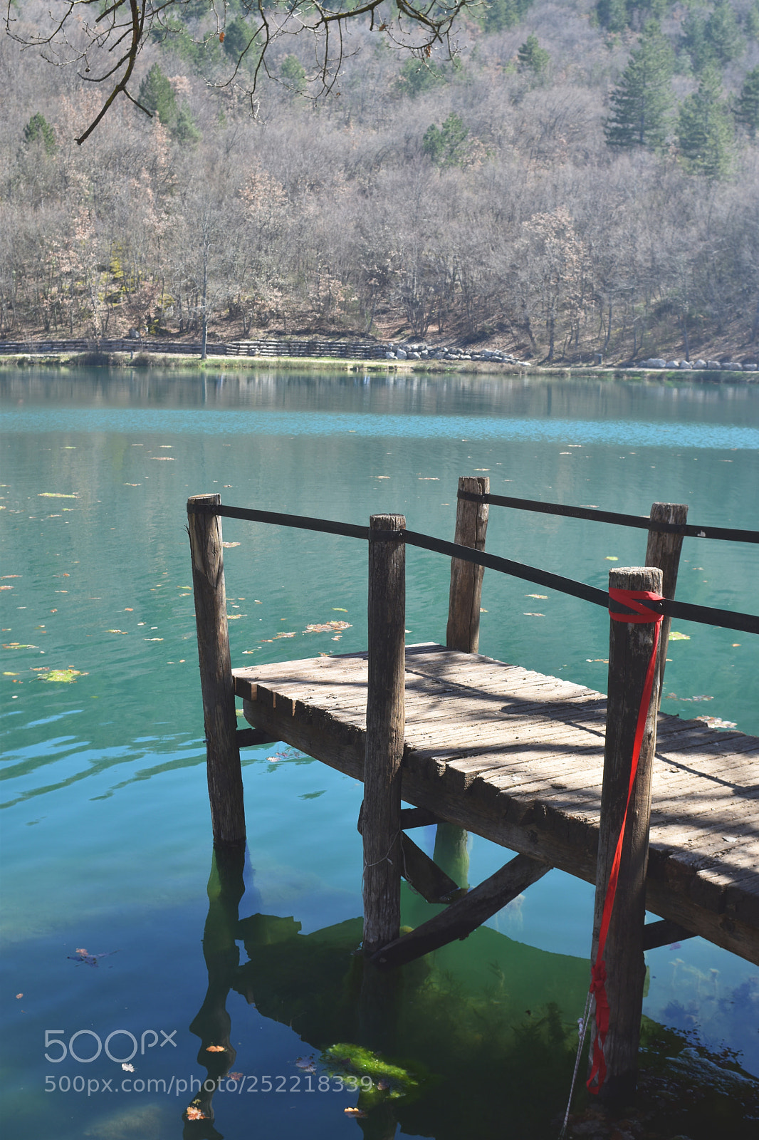 Nikon D5500 sample photo. The dock photography