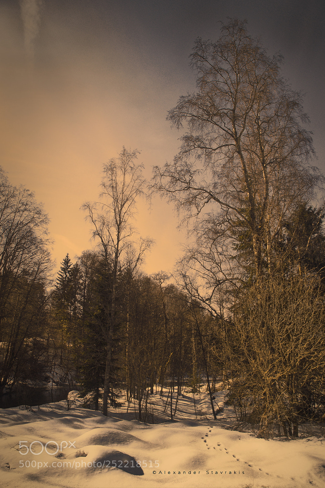 Nikon D3100 sample photo. Untitled photography