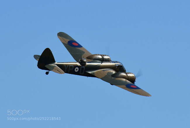 Nikon D7200 sample photo. Blenheim photography