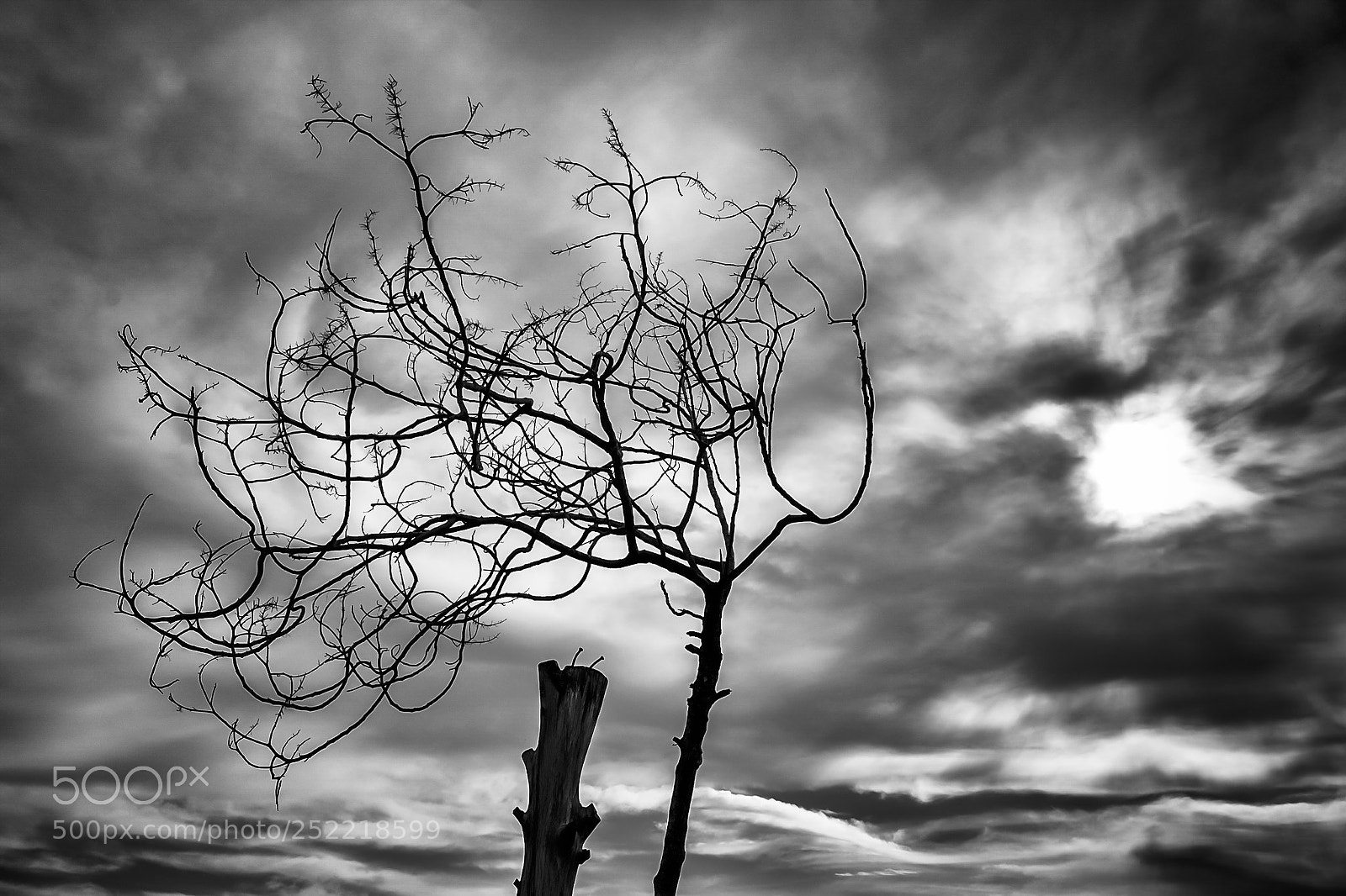 Nikon D3100 sample photo. Resistance photography