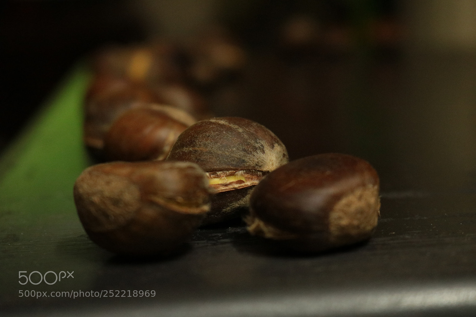 Canon EOS 750D (EOS Rebel T6i / EOS Kiss X8i) sample photo. Chestnut... photography