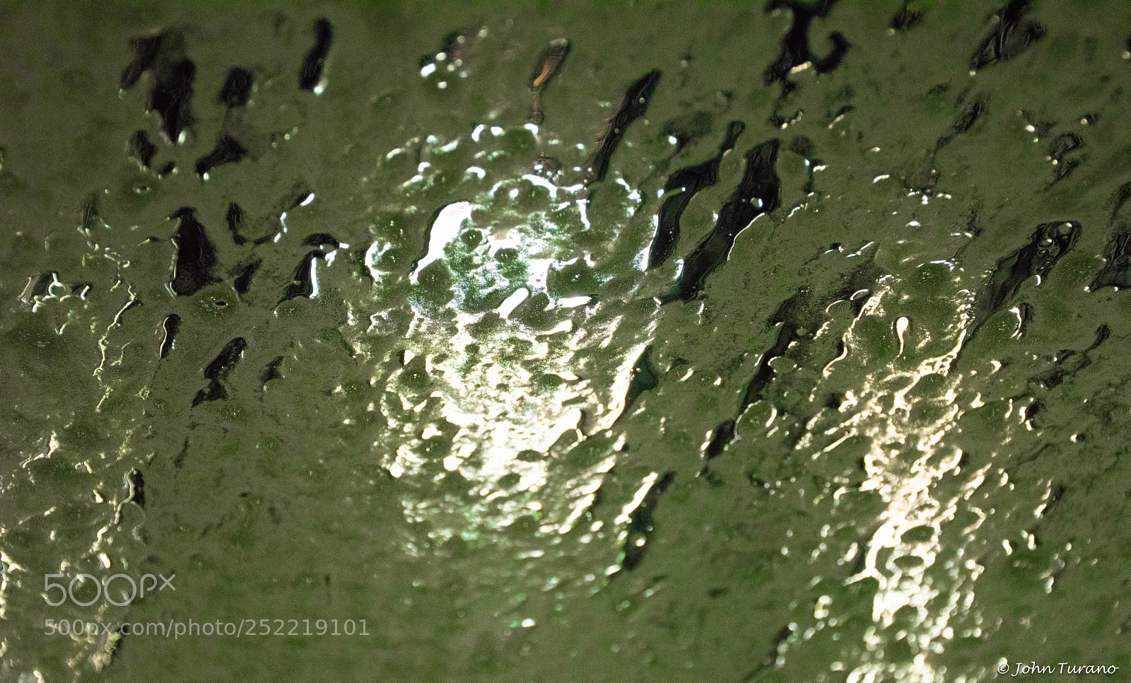 Nikon D5600 sample photo. Suds from inside photography