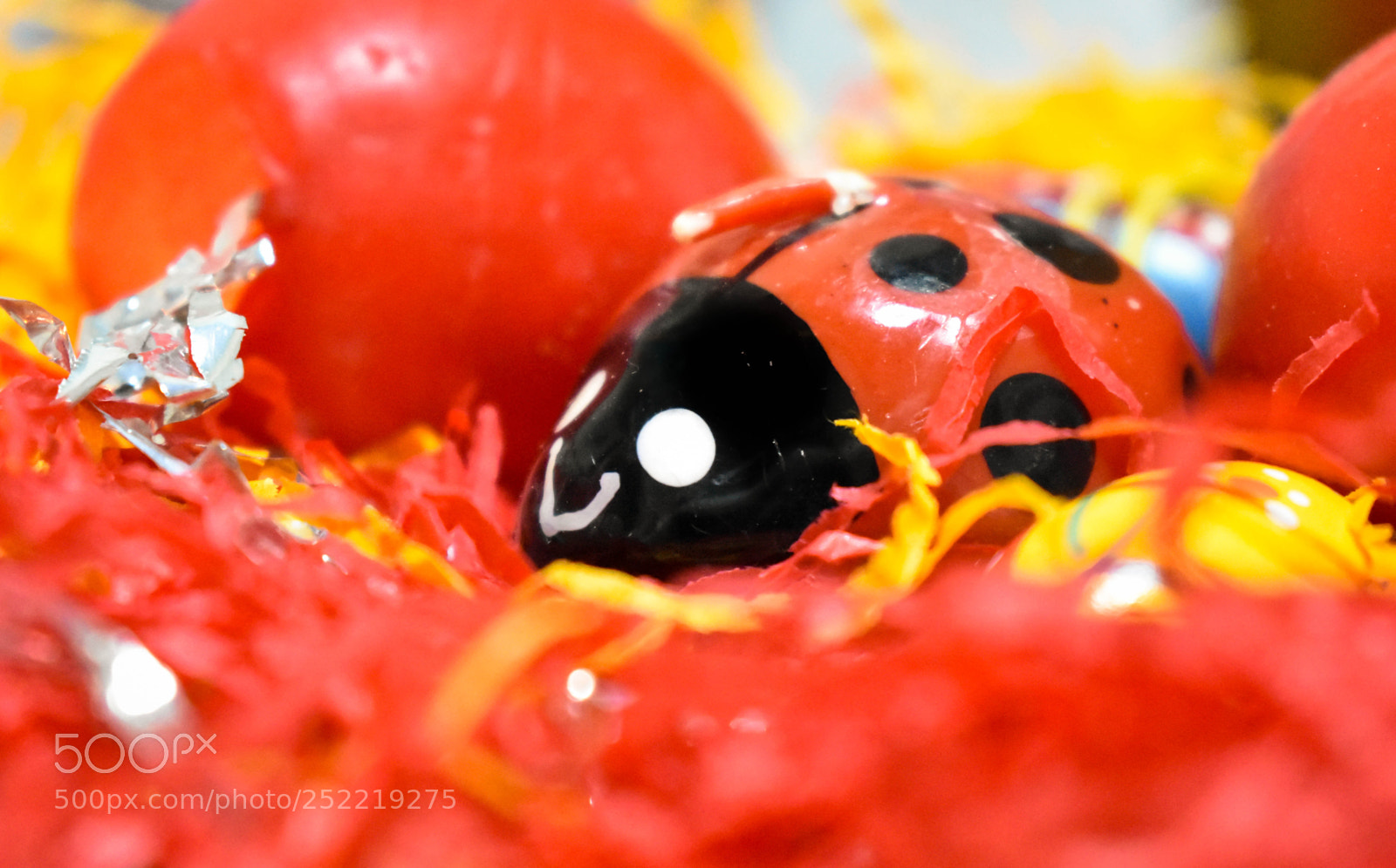 Nikon D3400 sample photo. Smiling ladybug photography