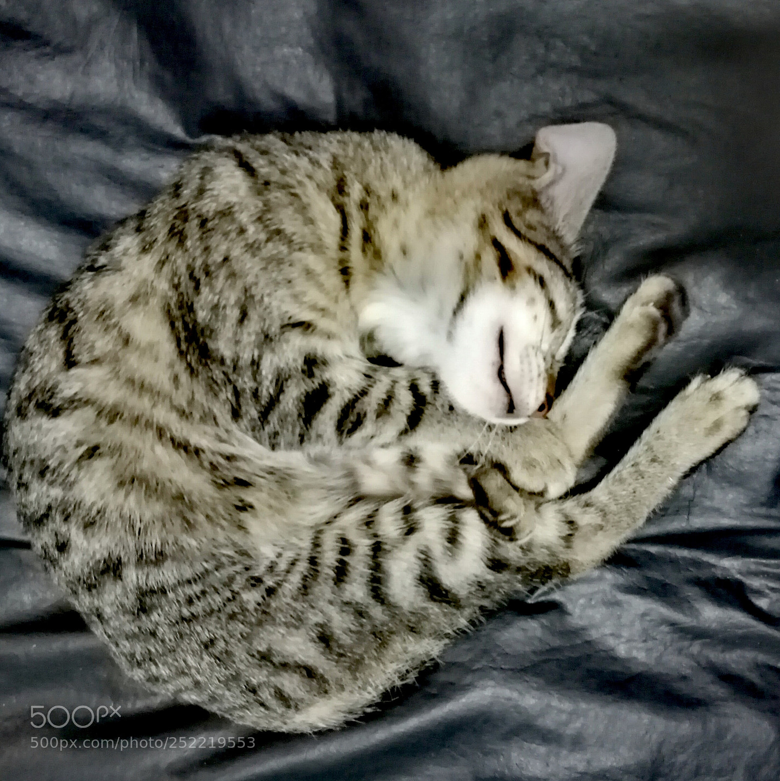 HUAWEI P9 sample photo. Untitled photography
