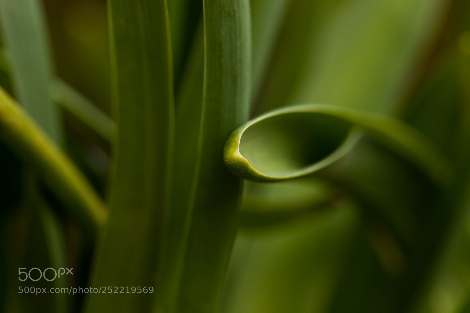 Canon EOS 5D Mark II sample photo. Curves of nature photography