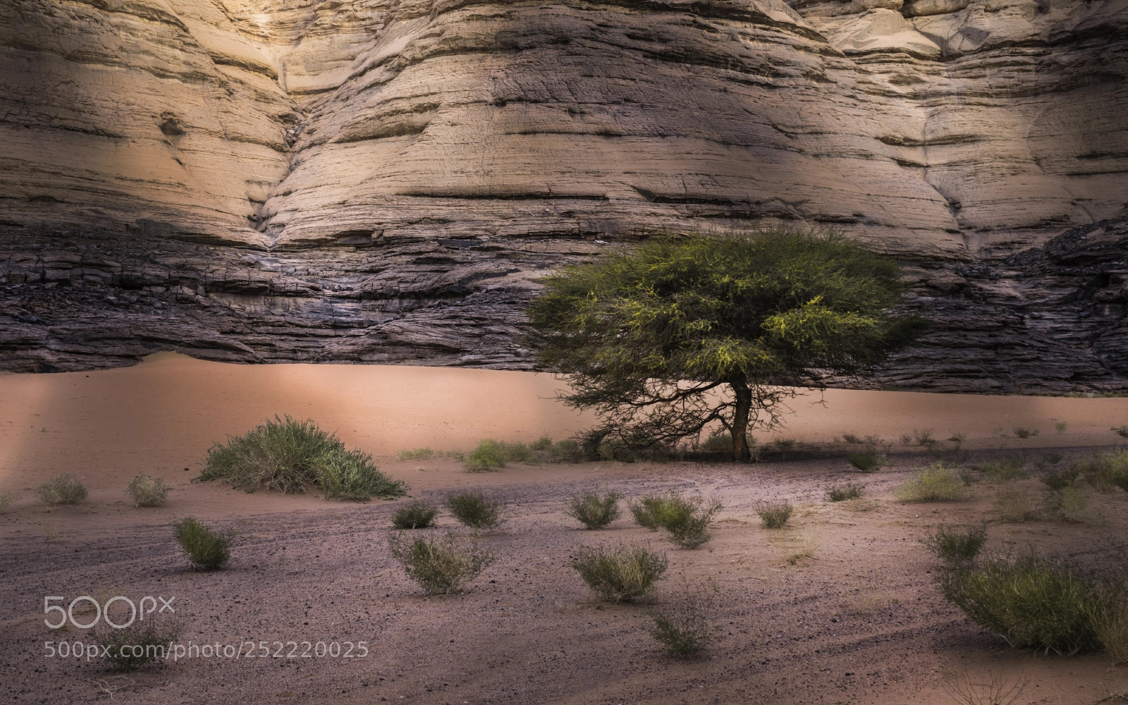 Nikon D810 sample photo. Tassili: just discover it! photography