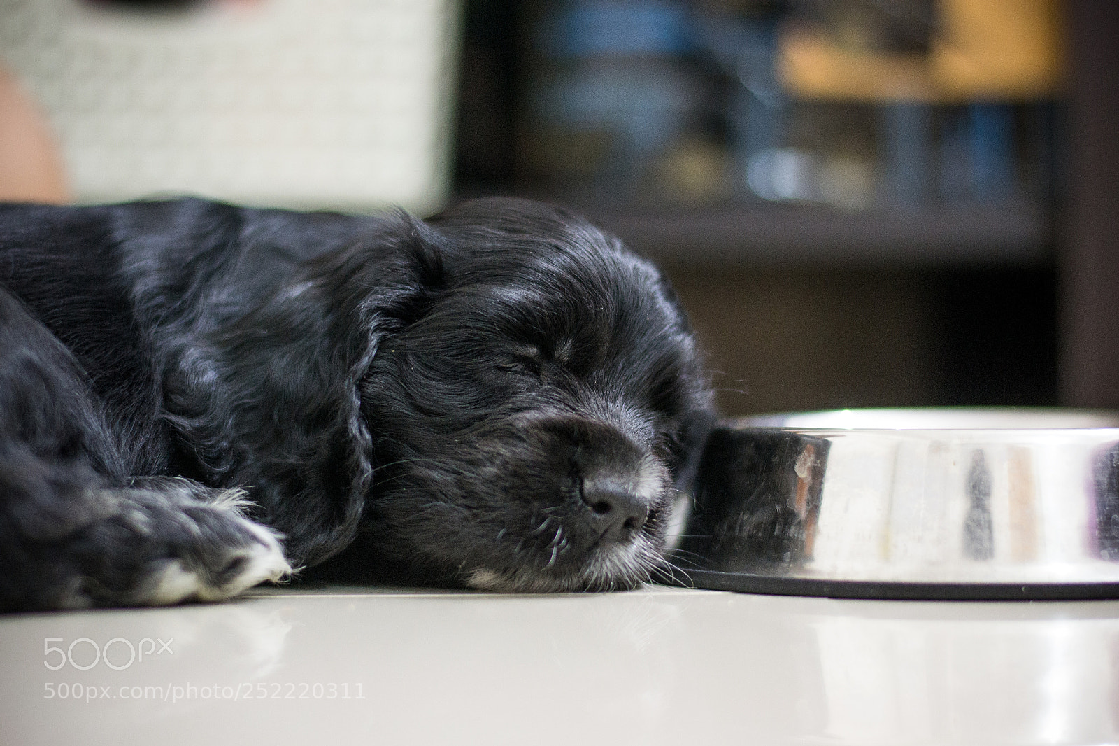 Nikon D3100 sample photo. Sleepy mind photography