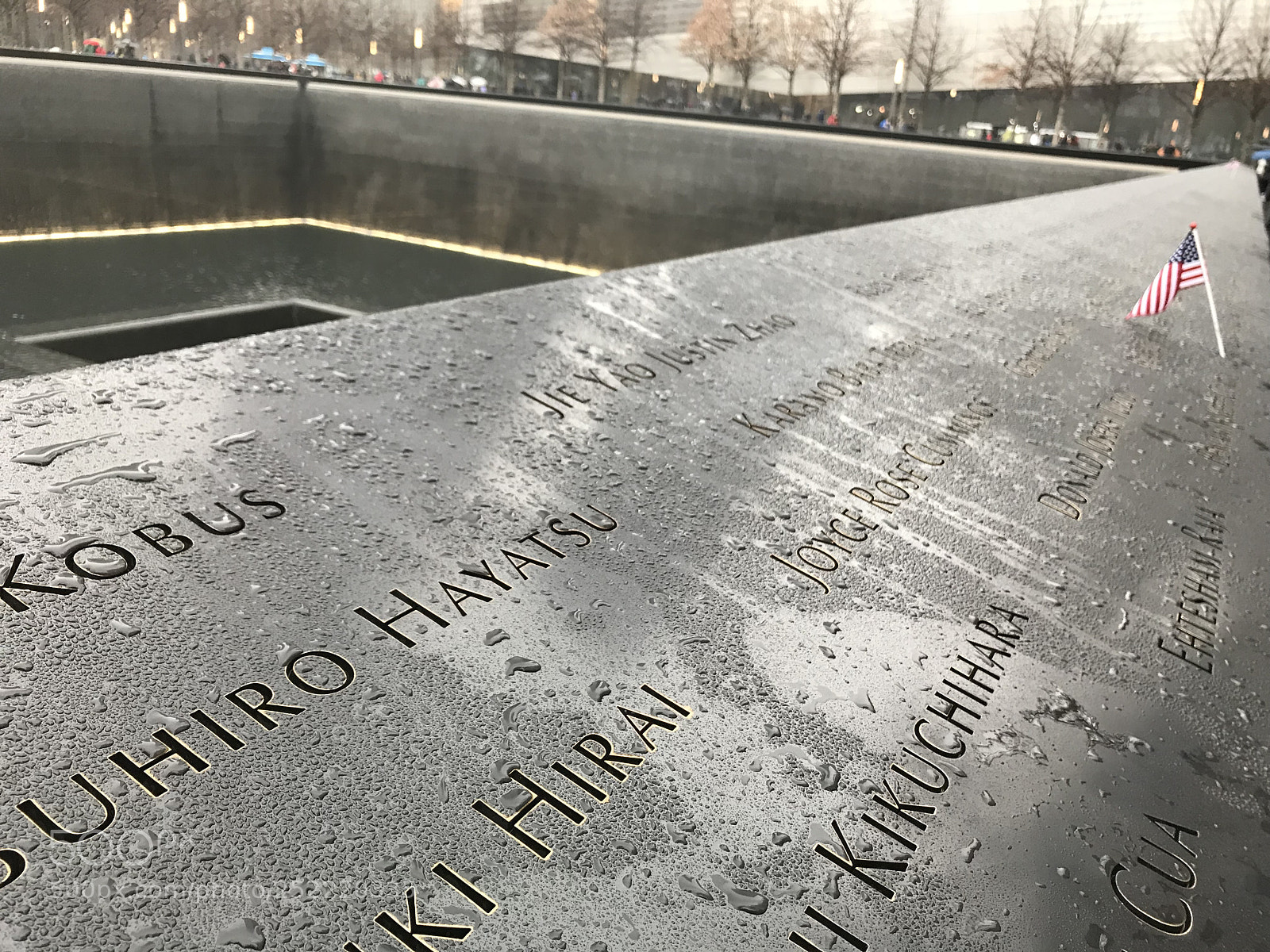 Apple iPhone 7 sample photo. Wtc  photography