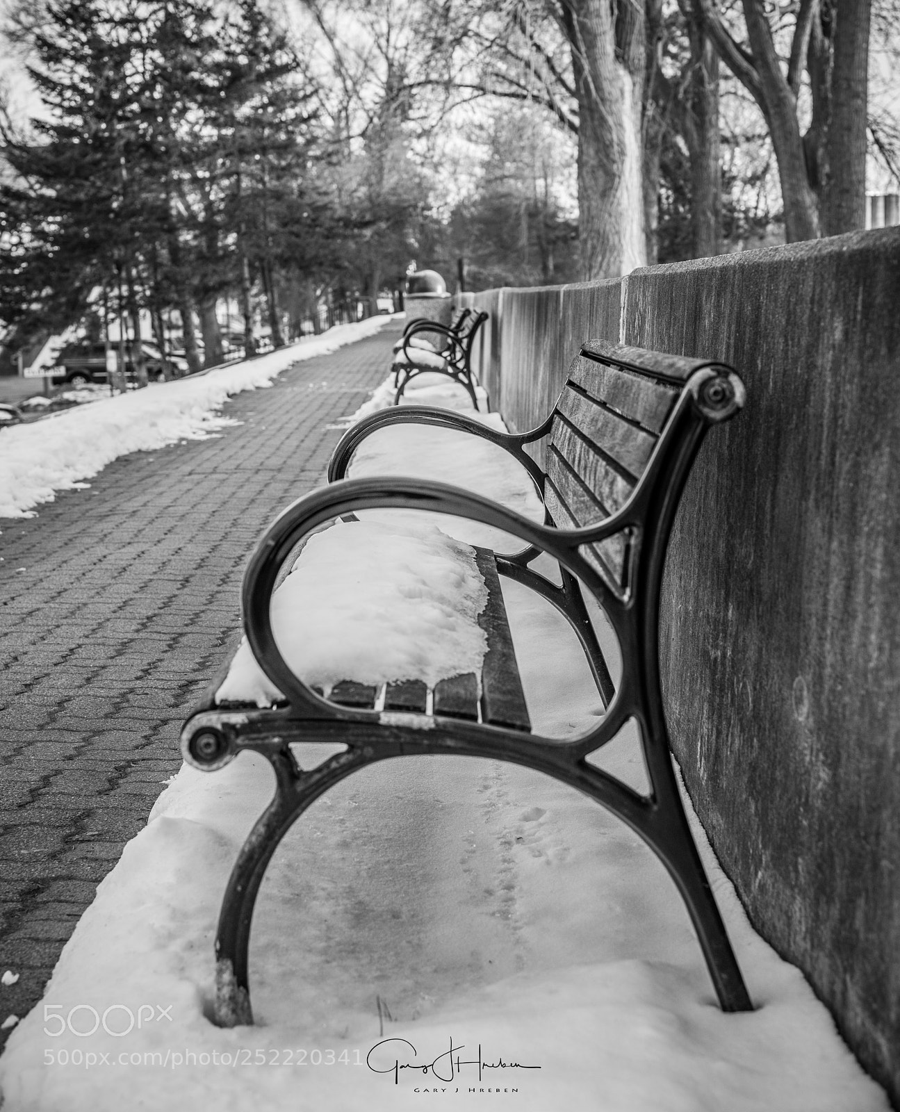 Nikon D810 sample photo. Bench at frankenmuth photography