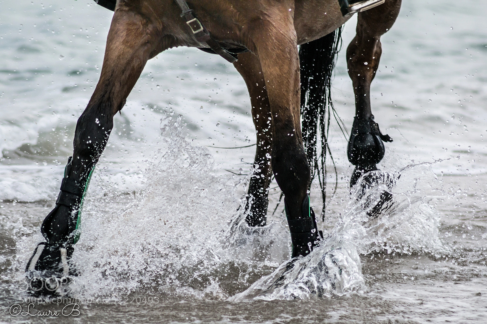 Nikon D3100 sample photo. Les sabots dans l'eau photography