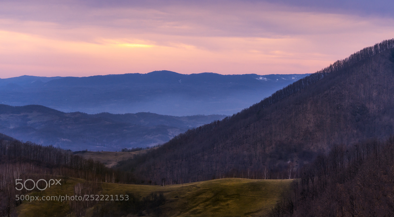 Nikon D850 sample photo. Evening in the wild photography