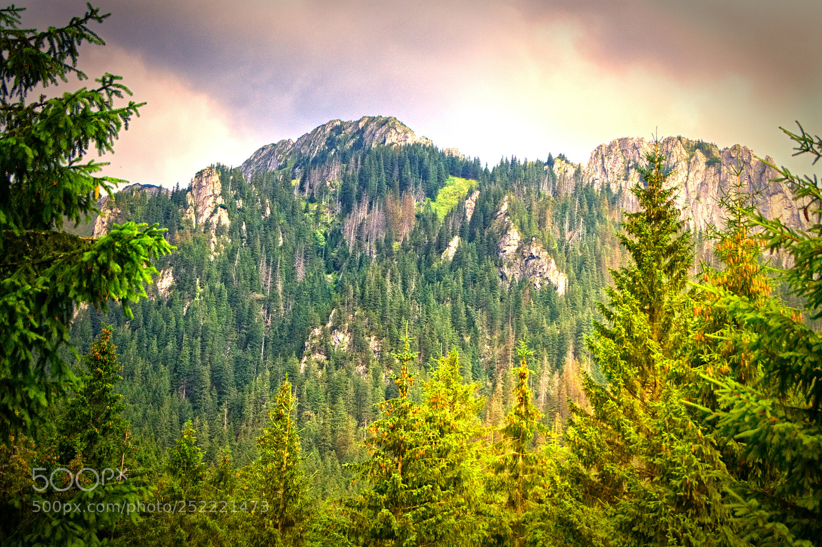 Sony Alpha DSLR-A450 sample photo. View from the valley photography