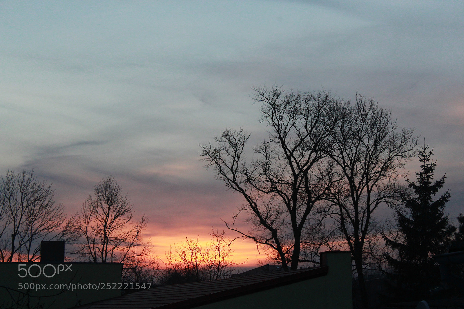 Canon EOS 1300D (EOS Rebel T6 / EOS Kiss X80) sample photo. Img photography