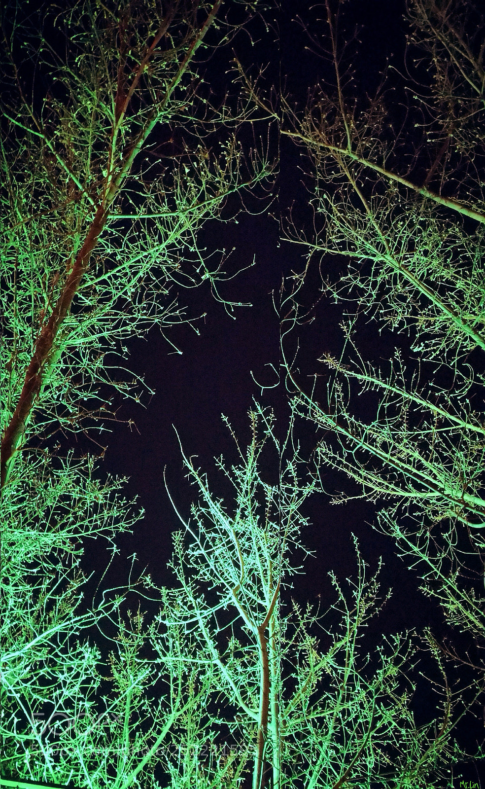 HUAWEI Mate 10 sample photo. Untitled photography