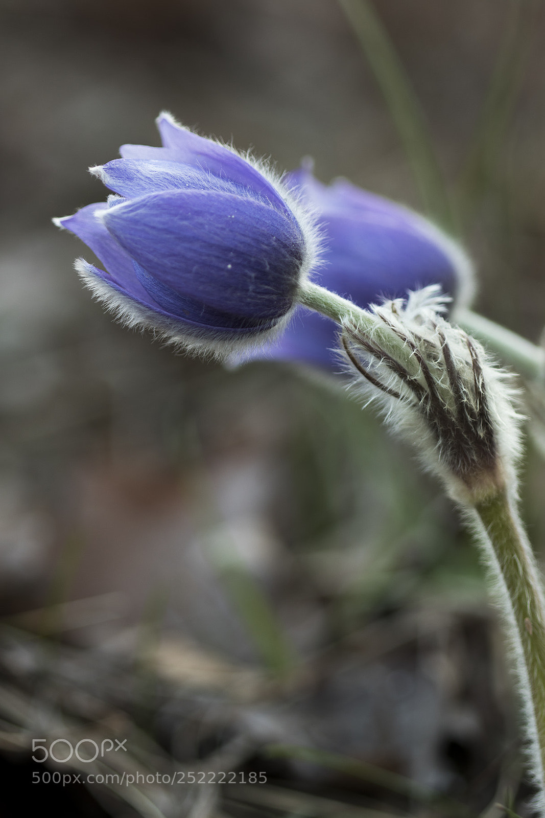 Canon EOS 7D Mark II sample photo. Na photography