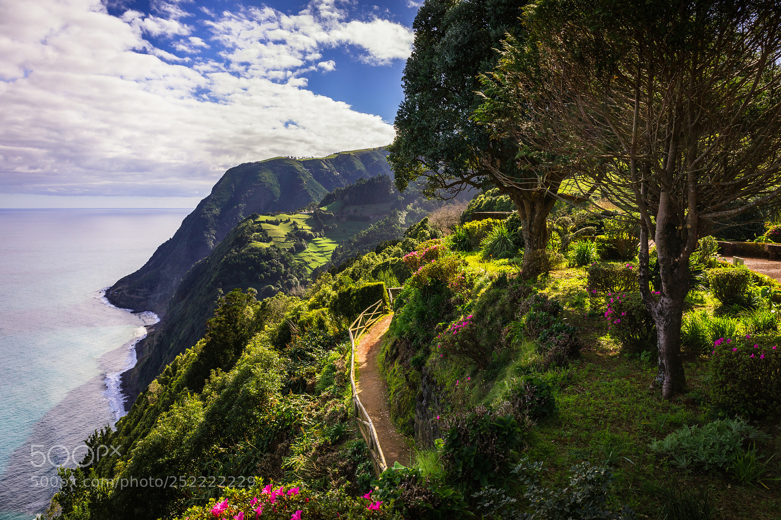 Canon EOS 5D Mark IV sample photo. Azores #7 photography