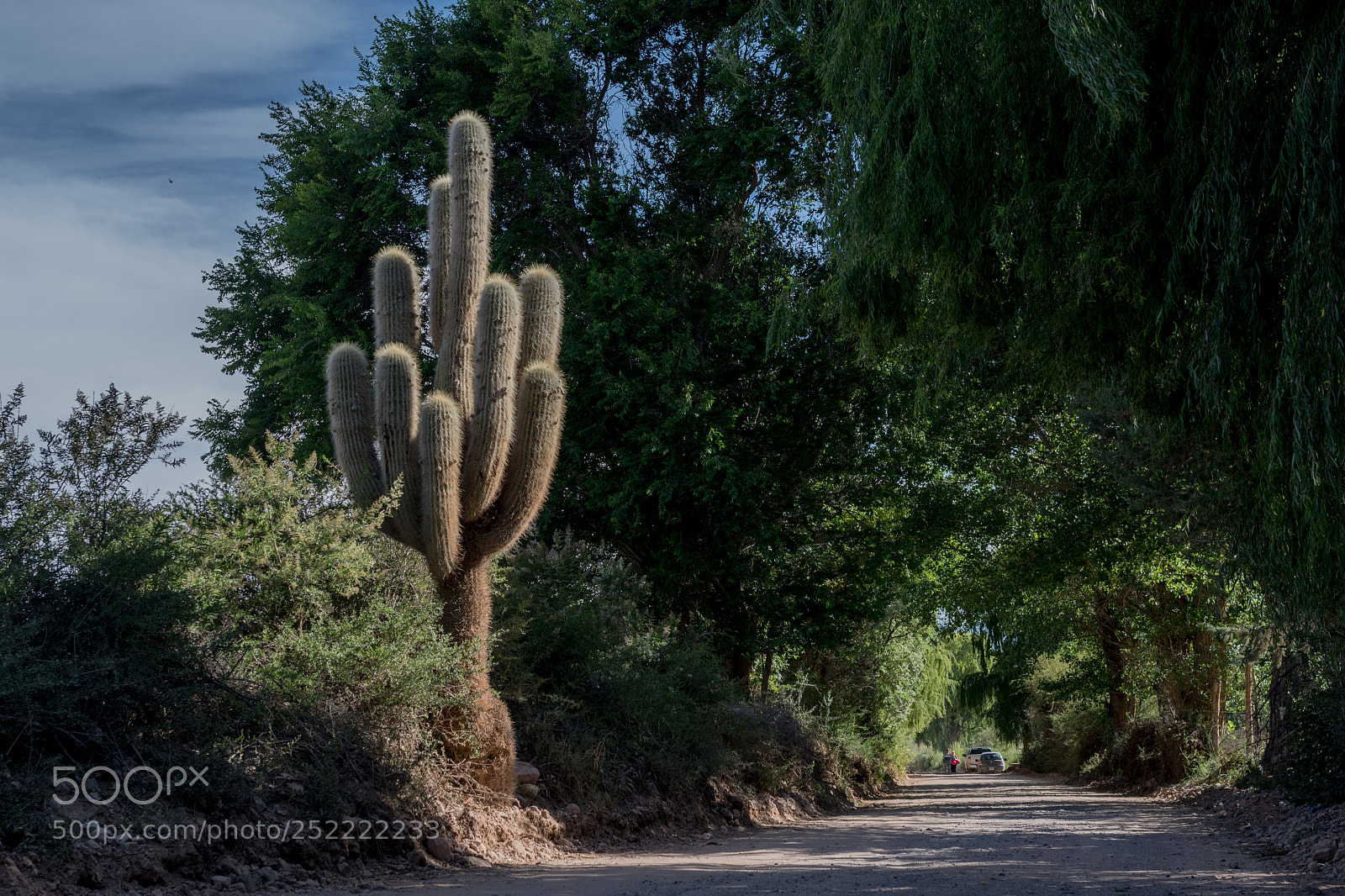 Nikon D7100 sample photo. Camino al hornocal photography