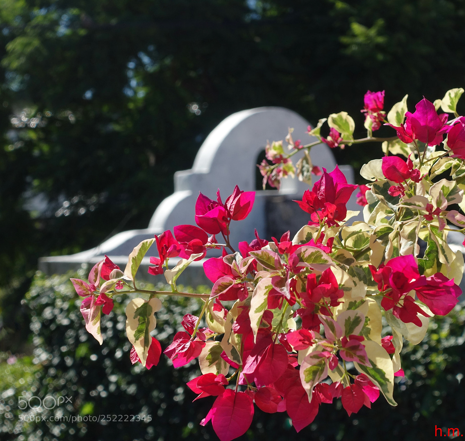 Sony Cyber-shot DSC-RX100 III sample photo. Fde o photography