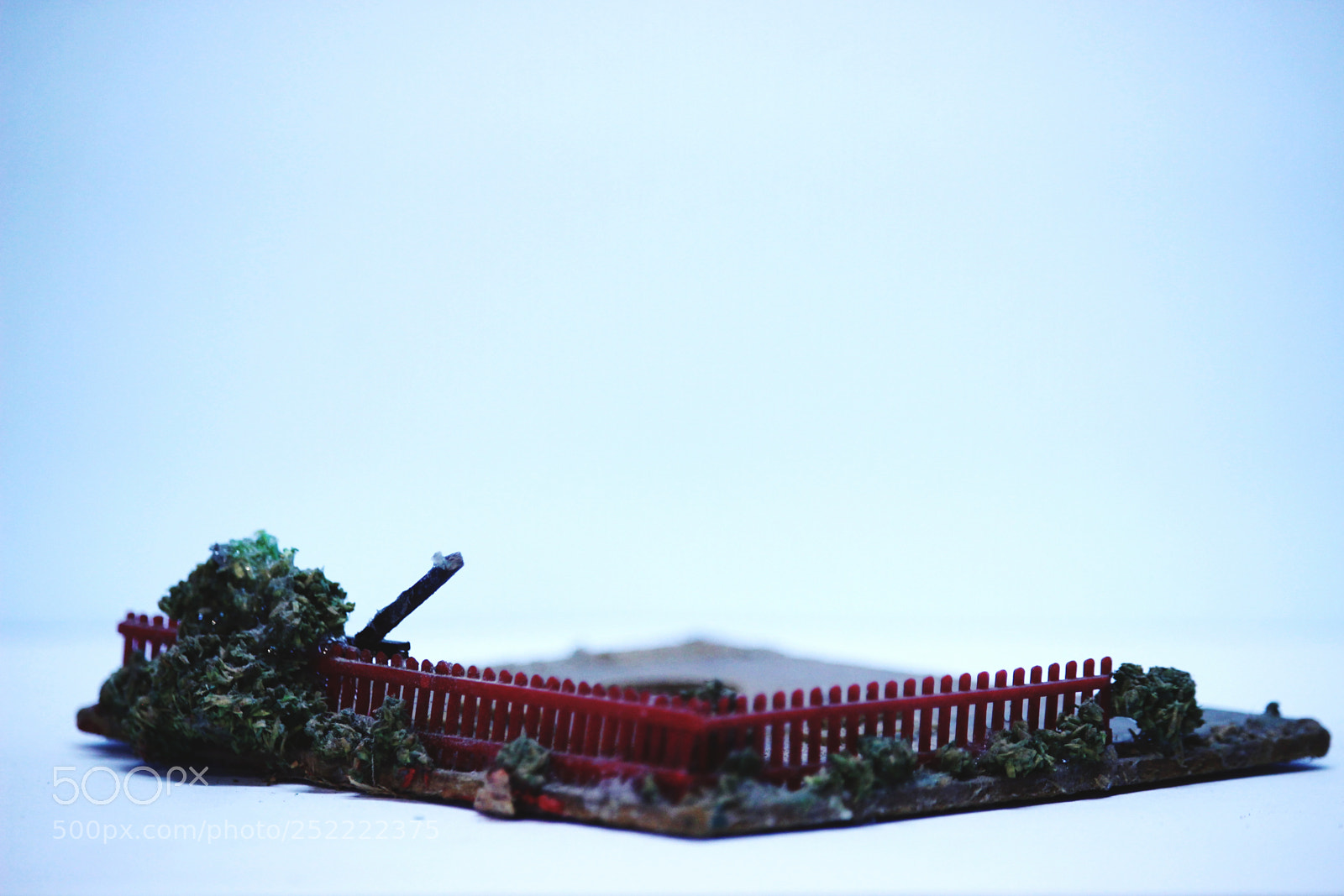Canon EOS 600D (Rebel EOS T3i / EOS Kiss X5) sample photo. Eyeemfiltered photography