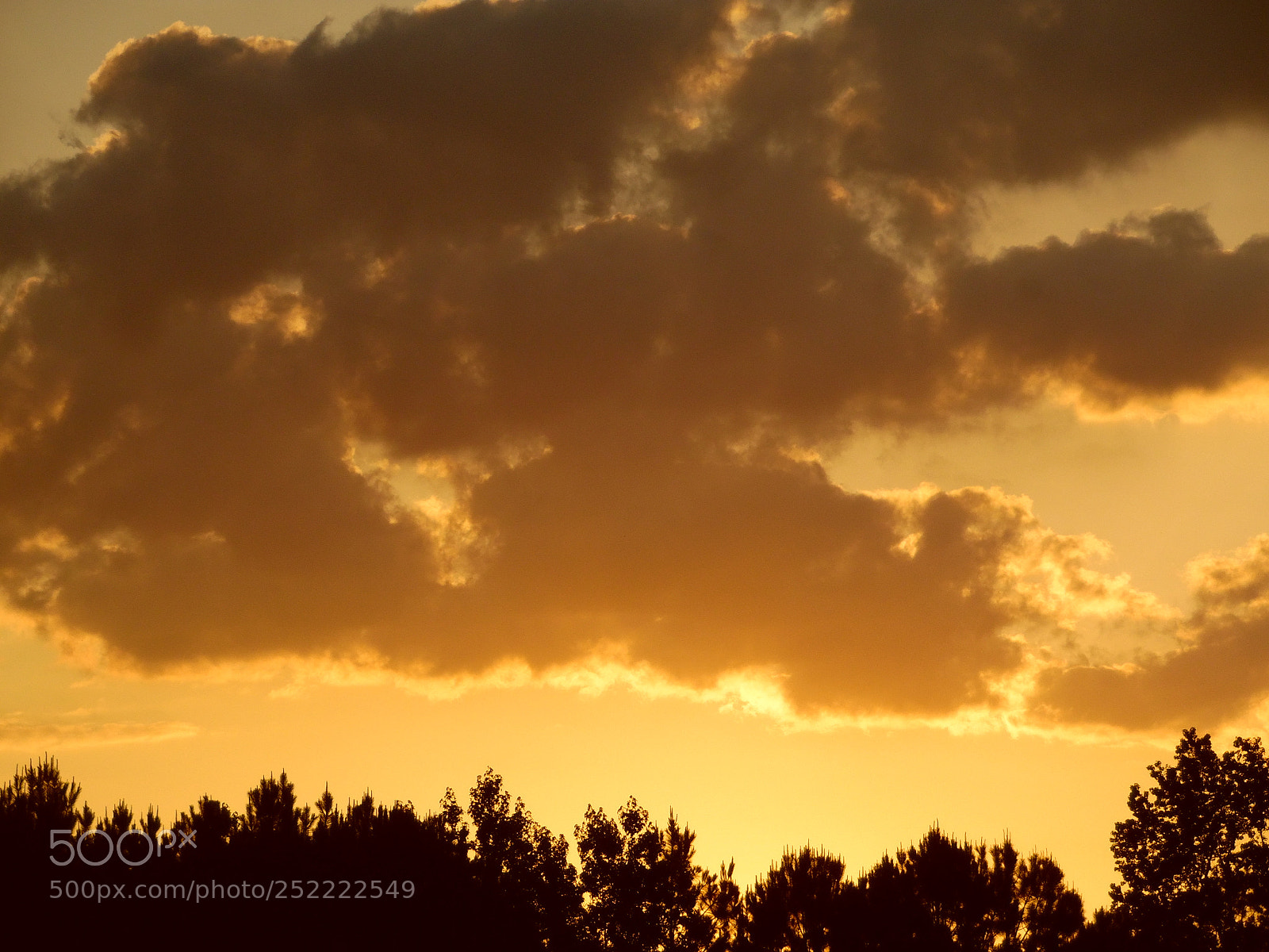 Samsung WB1100F/WB1101F/WB1102F sample photo. Beautiful sunset photography