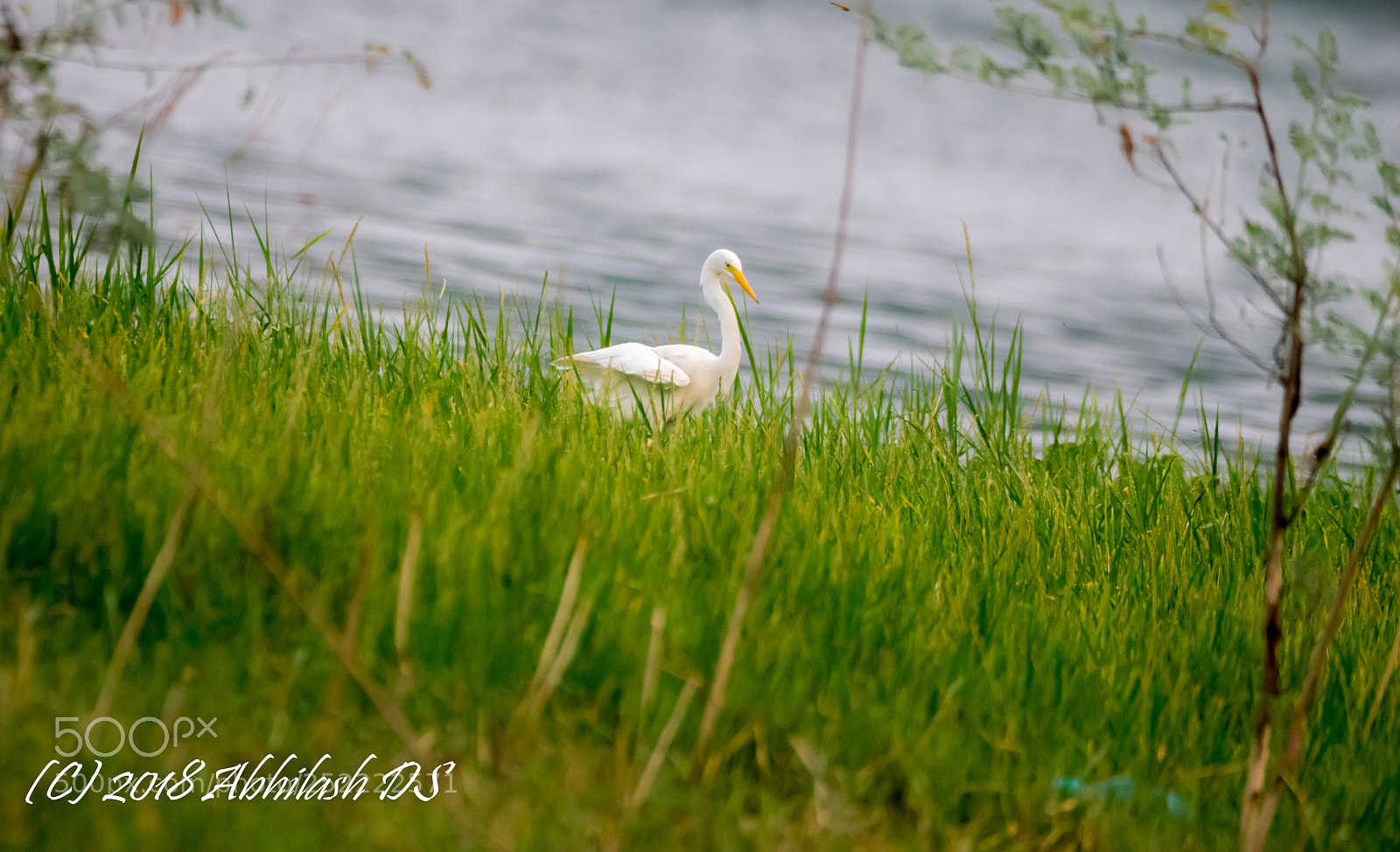 Nikon D5300 sample photo. Untitled photography