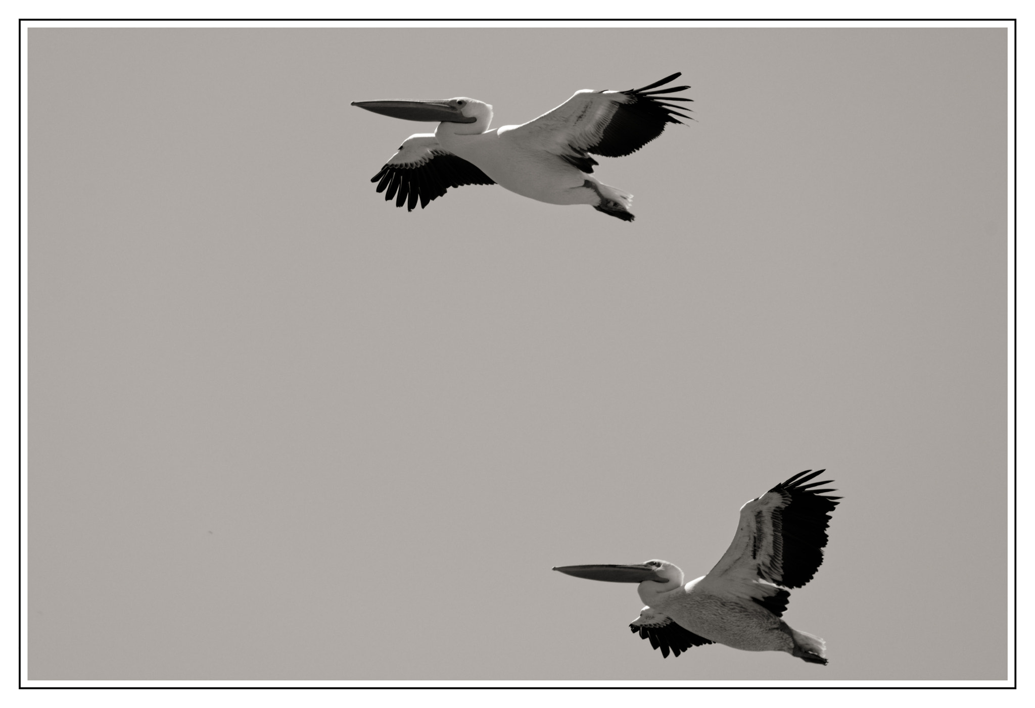 Nikon AF-S Nikkor 200-500mm F5.6E ED VR sample photo. The couple photography