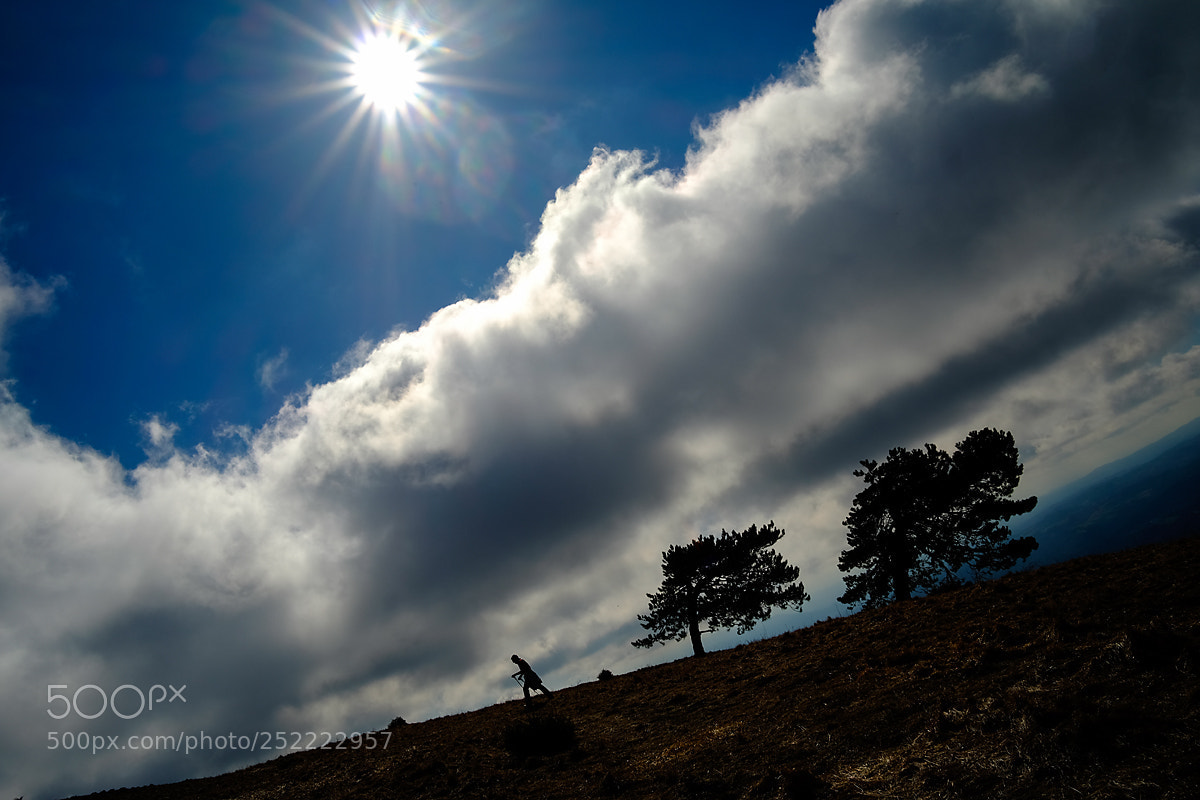 Fujifilm X-T10 sample photo. Walk by nature photography