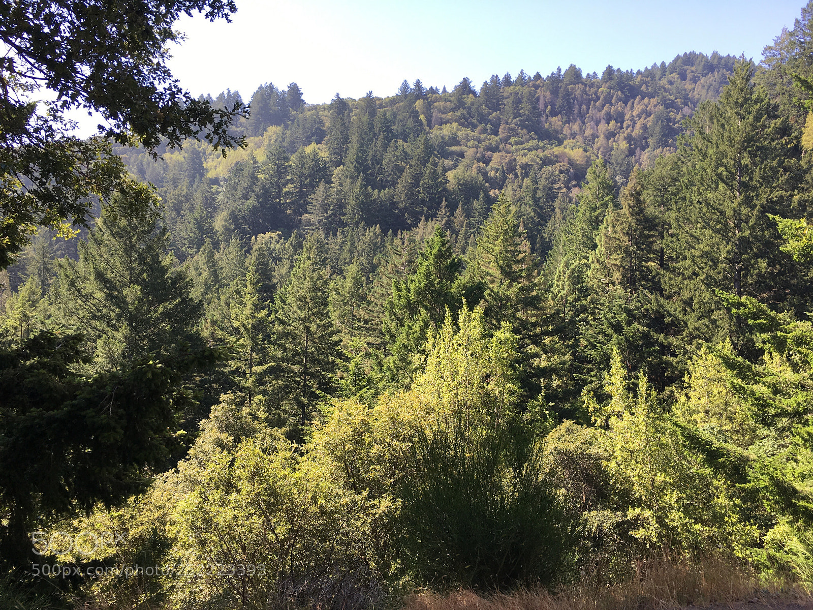 Apple iPhone 6s Plus sample photo. Sanborn trail - vista photography